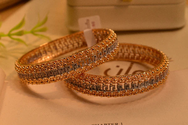 Gorgeous Design Gold Plated 2pc Bangle Set for Girls/Women